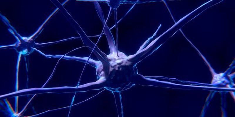 Brain-Machine-Interfaces messen Gehirnsignale und leiten daraus Steuerbefehle für Roboter ab. Daran forscht aktuell das DFKI.