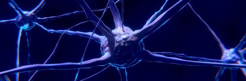 Brain-Machine-Interfaces messen Gehirnsignale und leiten daraus Steuerbefehle für Roboter ab. Daran forscht aktuell das DFKI.