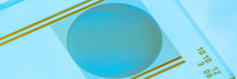 Wissenschaftler des Fraunhofer-Instituts IZM haben einen Biosensor auf Basis von Graphenoxid entwickelt. Mit ihm lassen sich bakterielle und virale Infektionen in 15 Minuten erkennen.