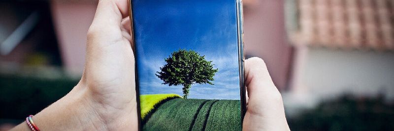 Bewässerungslösungen wie die Tröpfchenbewässerung sind keine simplen Systeme aus Schläuchen mehr.