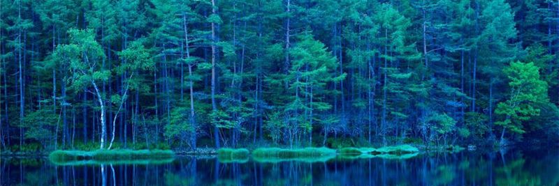 Der gemeinsame Coup von HPE und SAP, die „SAP HANA Enterprise Cloud“ per Greenlake an den von Kunden gewünschten Orten bereitszustellen, etwa im hauseigeenen Rechenzentrum, dürfte in einem für viele Unternehmen ein attraktives Angebot münden.