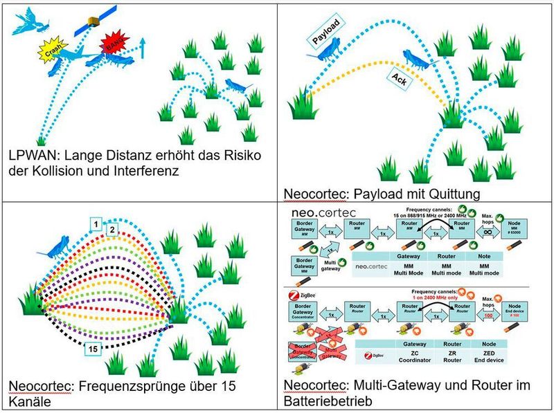 Eine Analogie aus dem Reich der Grashüpfer verdeutlicht das Funktionsprinzip von SubGHz Meshnet.
