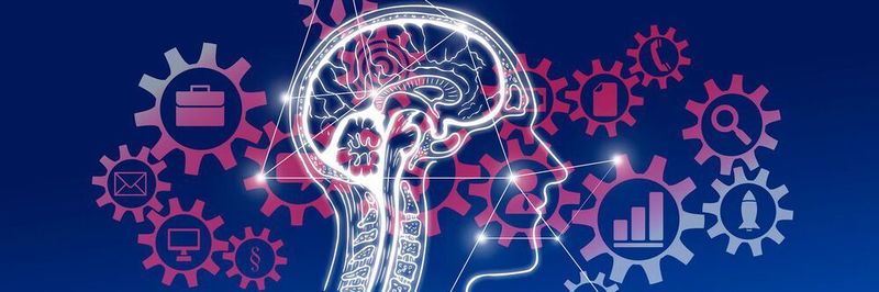 Daten und deren intelligente Auswertung spielen bei der Optimierung eine übergeordnete Rolle.