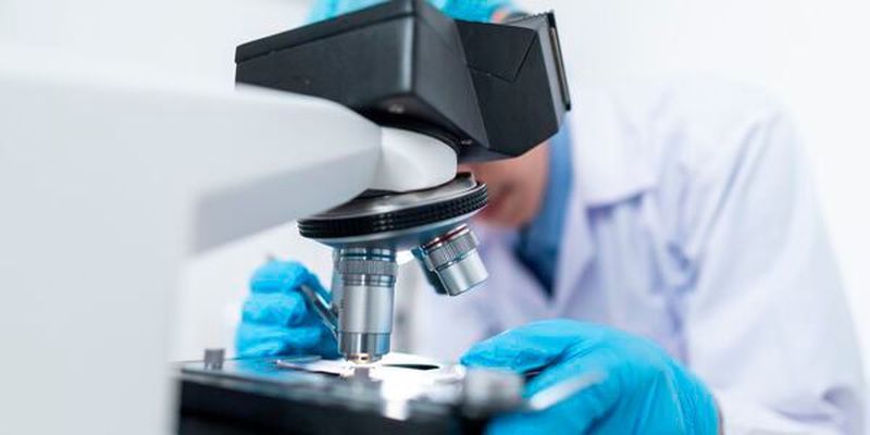 Trotz Krise bleibt die Forschung relevant. Über die Hälfte der chemisch-pharmazeutischen Unternehmen halten an ihren Investitionsplänen fest.