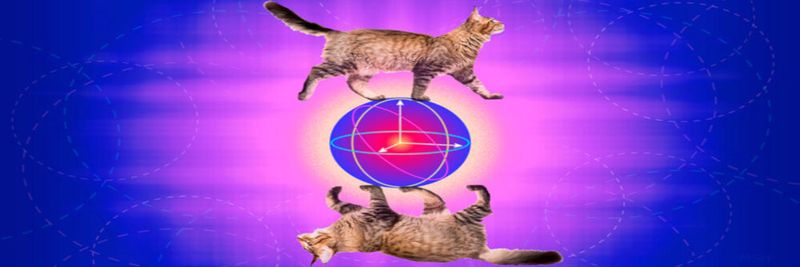 Das Gedankenmodell von Schrödingers Katze sagt aus, dass ein physikalisches System in zwei Zuständen gleichzeitig existieren kann. Dieses Konzept der Superposition wollen Forscher der Universität Yale nun dazu genutzt haben, um sogenannte Phasen-Flips im Quantencomputing unterbinden zu können. Die Entwickler sprechen dabei von 'cat qubits'.
