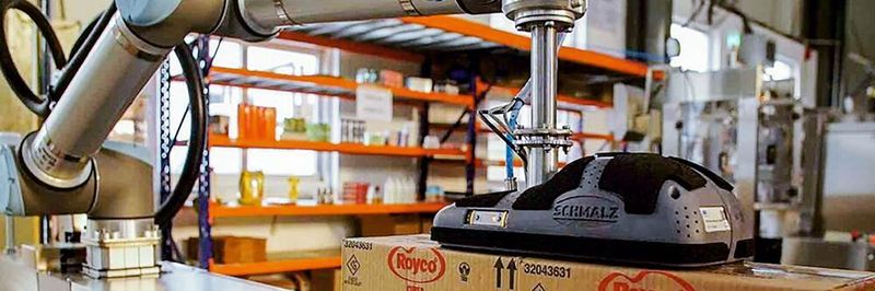 Der Flächengreifer des automatischen Palettiersystems von Clearpack nimmt die Kartons von der Fördertechnik und stapelt sie auf Paletten.