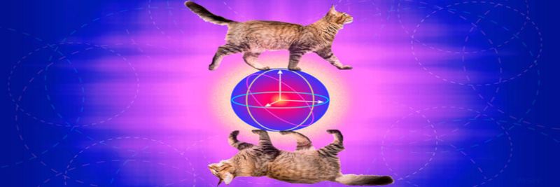 Das Gedankenmodell von Schrödingers Katze sagt aus, dass ein physikalisches System in zwei Zuständen gleichzeitig existieren kann. Dieses Konzept der Superposition wollen Forscher der Universität Yale nun dazu genutzt haben, um sogenannte Phasen-Flips im Quantencomputing unterbinden zu können. Die Entwickler sprechen dabei von 'cat qubits'.