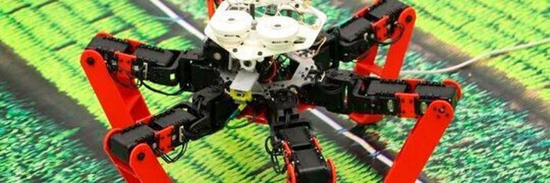Mit Antbot ist ein bio-inspiriertes Navigationssystem entstanden, das es ermöglicht, auch auf kleinstem Raum präzise zu navigieren. Inspiriert von der Wüstenameise.