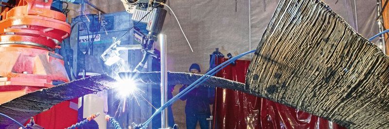 Die additiv gefertigte Brücke hat eine Spannweite von etwa 2,80 m. Im fertigen Zustand wird sie 1,50 m breit sein und rund 220 kg wiegen.