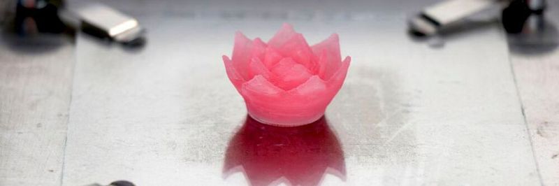 Um zu zeigen, dass sich feine, selbsttragende und überhängende Aerogel-Strukturen im 3D-Druck fertigen lassen, druckten die Forscher eine Lotusblüte.