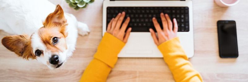Homeoffice oder lieber Büro?