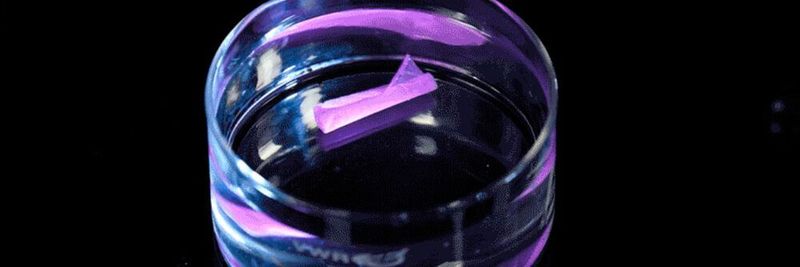 Ein neues Material kann via 3D-Drucker hergestellt werden und verfügt über ein Formgedächtnis.