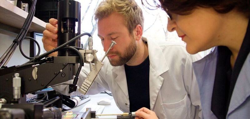 Sevda Abadpour und Axel Diewald vom Institut für Hochfrequenztechnik und Elektronik (IHE) des KIT positionieren einen Chip auf einer Platine. Gerade bei einer Größe im Mikrometerbereich muss alles perfekt ausgerichtet sein.