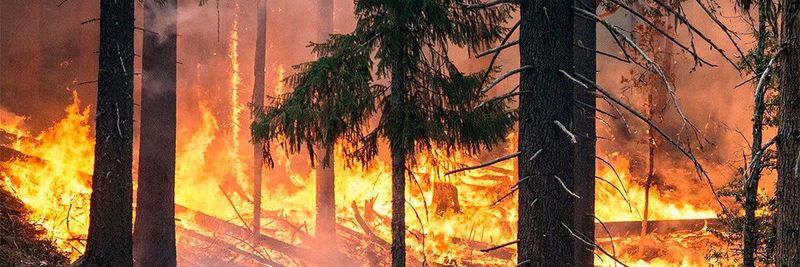 Katastrophenszenarien sind leider keine Hirngespinste.