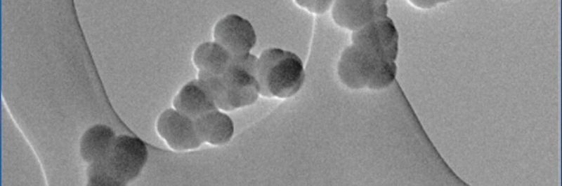 Amorphous silicon/carbon particles (image taken by transmission electron microscope).