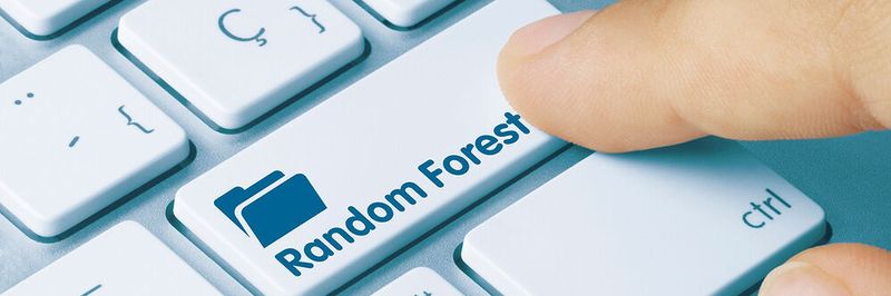 Wie funktioniert der Random-Forest-Algorithmus? Antworten gibt der 12. Teil unserer Grundlagenreihe.