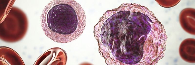 Abb. 1: Bestimmte Zellpopulationen zu typisieren und zu sortieren ist von großem Interesse in Medizin und Biologie.