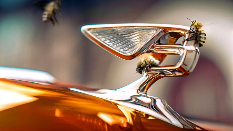 Bentley will bis 2030 CO2-neutral unterwegs sein.