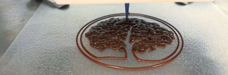Thinking im November: Mehr als eine holzbasierte Biotinte für das Robocasting ist Woodmimetics3D. Sie lässt sich gut 3D-drucken und härtet schnell aus, heißt es.