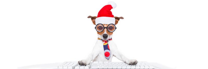 Ganz plötzlich steht Weihnachten wieder vor der Tür und es stellt sich die Frage nach den passenden Geschenken.