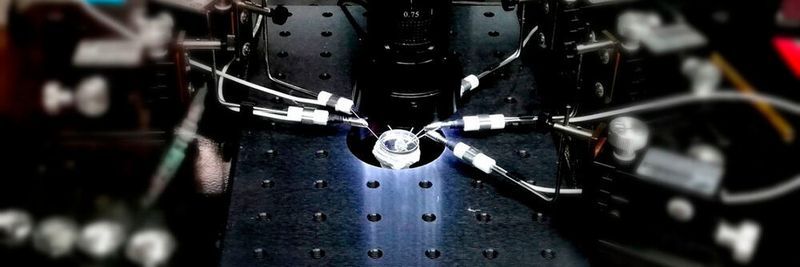 Hohe Grenzflächenwiderstände innerhalb des Festkörperelektrolyten schmälern die Performance von Festköperbatterien. Im Bild: ein Mikrokontakt-Messstand zur Untersuchung elektrochemischer Eigenschaften von Festkörperbatterien.