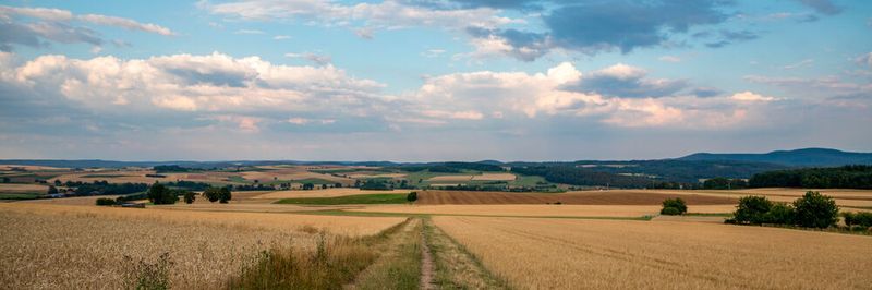 Digitalisierung macht strukturschwache Regionen attraktiv