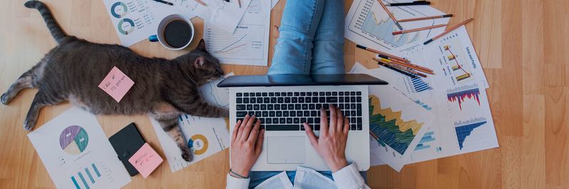 Berufstätige wissen die Vorteile von Homeoffice zu schätzen.