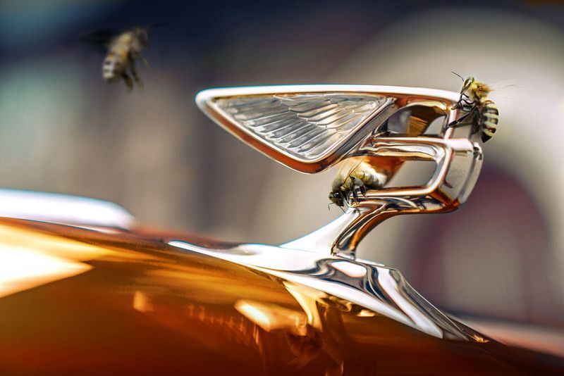 Bentley trifft Vorkehrungen für einen ungeregelten Brexit. Das Unternehmen hat sich fünf Frachtflugzeuge reserviert, um Komponenten einfliegen zu können.