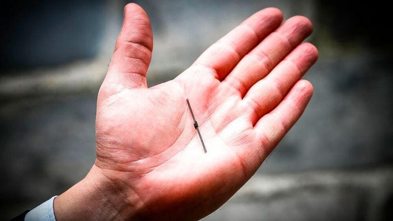 RFID-Chips sind extrem klein und brauchen keine eigene Energiequelle.