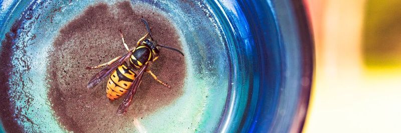 Das OWASP will für das Thema Sicherheit im Web sensibilisieren und Transparenz schaffen.