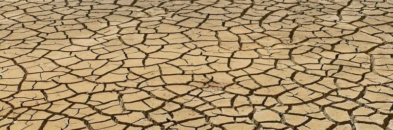 Durch den 5G-Mobilfunkstandard könnten zukünftig Treibhausgasemissionen eingespart werden, was zum Klimaschutz beiträgt.