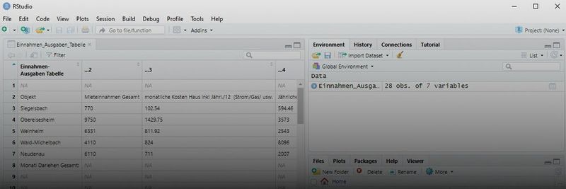 Erfolgreich nach RStudio importierte Daten.