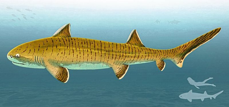 Künstlerische Lebendrekonstruktion des hybodontiformen Haies Asteracanthus. Silhouetten am rechten unteren Bildrand dienen als Größenmaßstab.