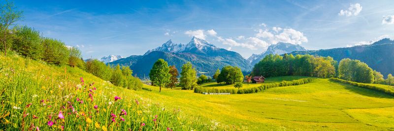Ein flächendeckens Mobilfunknetz auf dem Land? Davon träumen noch viele ländliche Regionen in Deutschland.