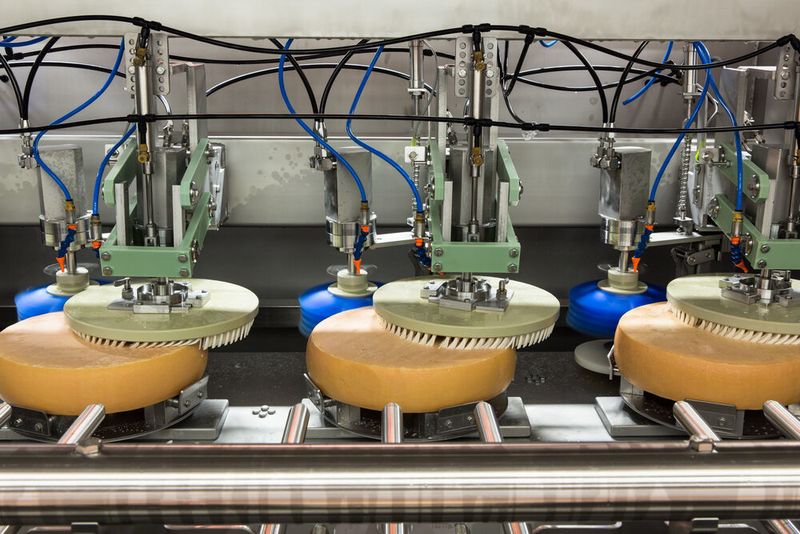 In modernen Käsekellern ist der aufwändige Reifeprozess automatisiert.