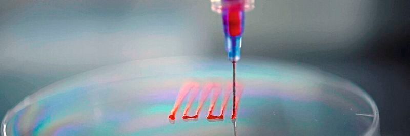 Bioprinting soll es möglich machen, dass Organe, Haut, Muskeln oder anderes menschliches Gewebe in Zukunft additiv hergestellt werden.