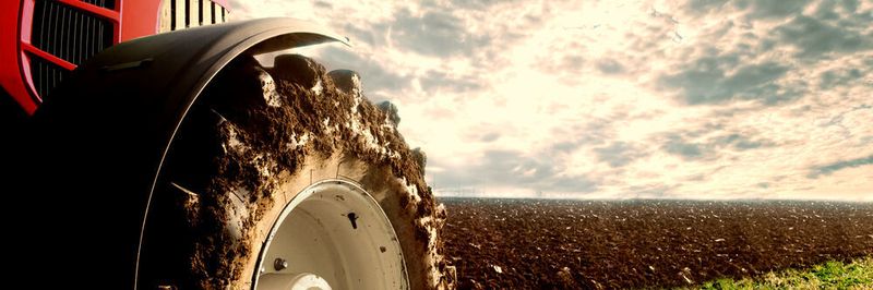 Da war der Wurm drin: Ein komplexes Produktentwicklungsprojekt eines Ladndmaschinenherstellers drohte aus verschiedenen Gründen zu scheitern. Der Umstieg auf Scrum war schließlich ein Erfolg.