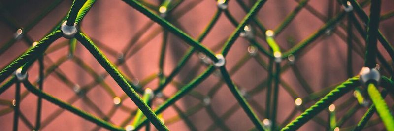 Digitale Plattformen für den Geschäftskundenbereich gewinnen zunehmend an Bedeutung, da sie die Vernetzung verschiedener Marktteilnehmer vereinfachen.