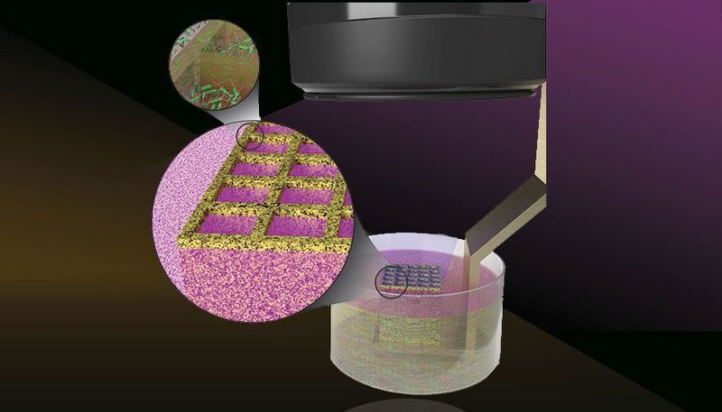 Der am LLNL entwickelte Stereolithographie-Bioprinter kann in der hohen Auflösung von 18 Mikrometern drucken – fast so dünn wie der Durchmesser einer menschlichen Zelle.