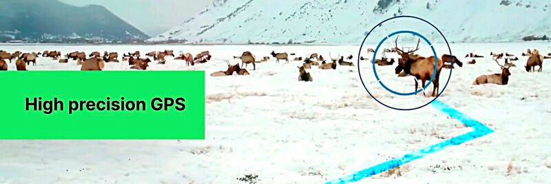 Reindeer are one of the mammals that lay the most run-of-way. With the Asset Tracker So the routes can be tracked.