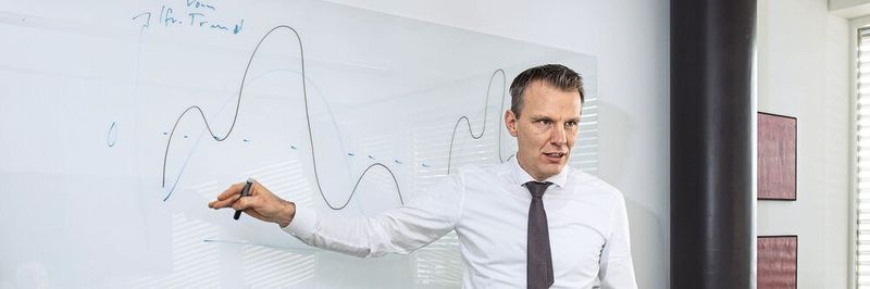 Die Realwirtschaft wird im hpo-Modell als ein schwingendes System mit nichtlinearen Zusammenhängen beschrieben.