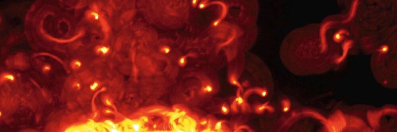 In Gelen, die der Dichte der Säugetierhaut nachempfunden waren, bewegten sich die Malaria-Erreger in Spiralen, erkennbar an den orange leuchtenden „Kriechspuren“ im rund 0,1 Millimeter dicken Polyacrylamid-Gel.