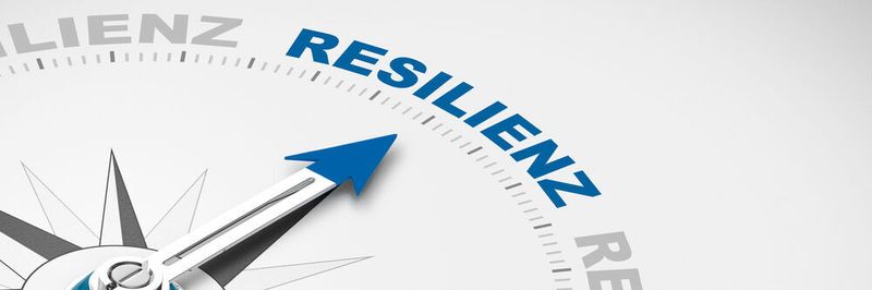 Die gute Nachricht für Unternehmen, die ihre Resilienz verbessern wollen: Die meisten Strategien und Maßnahmen sind nicht krisenspezifisch, sondern wirken in nahezu allen unvorhergesehenen Situationen.