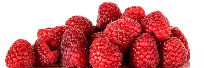Mit Collabora Online steht die erste brauchbare, selbst gehostete Produktivitätsplattform auf der beliebten Raspberry Pi-4-Plattform zur Verfügung.
