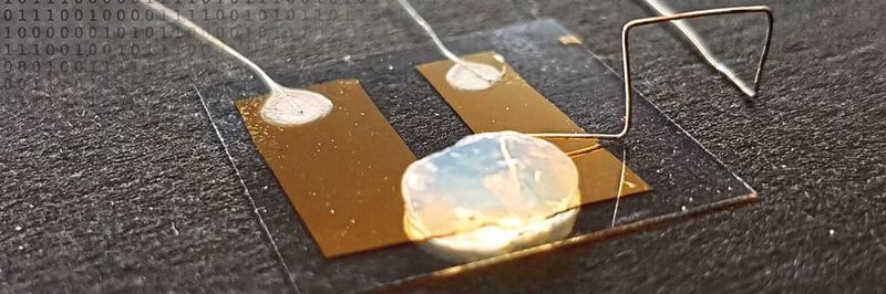 Grenze der Miniaturisierung: der Einzelatom-Transistor funktioniert in einem Gel-Elektrolyten.
