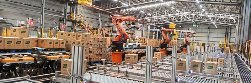Mit 19 Kameras können Knorr-Lebensmittel in kleinen Kartons identifiziert, in 17 Linien sortiert und von drei Robotern für den Transport auf einzelnen Paletten vorbereitet werden.