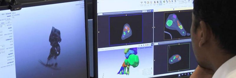 Mit der Software von Dassault Systèmes können auch lebende menschliche Organe simuliert werden. Diese digitalen Zwillinge ermöglichen die Diagnose von Krankheiten oder die Ermittlung von Belastungen des Körpers.
