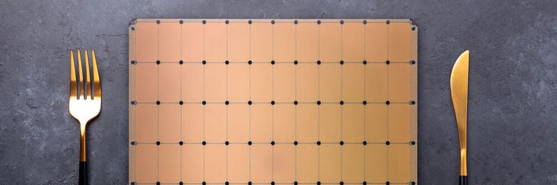 Es ist angerichtet: Die Wafer Scale Engine 2 ist groß wie ein Pizzateller – und um Größenordnungen teurer.
