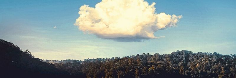 In Wolken lassen chemische Prozesse u. a. Ameisensäure entstehen.