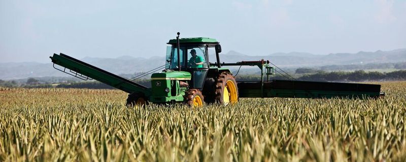 Käufer und Verkäufer von Nutzfahrzeugen in allen Branchen sind verstärkt auf digitale Kauf- und Verkaufskanäle angewiesen.
